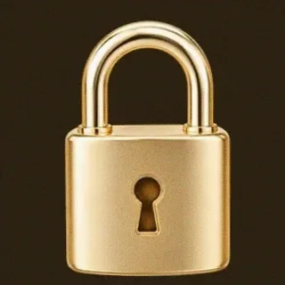 Metal padlock — Roospin