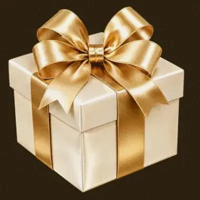 Ribboned gift box — Roospin