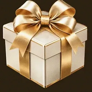 Gift box — Roospin