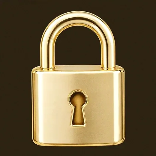 Metal padlock — Roospin