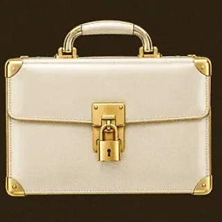 Locked leather briefcase — Roospin