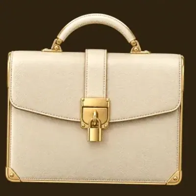 Locked leather briefcase — Roospin