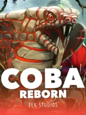 Coba Reborn at Roospin