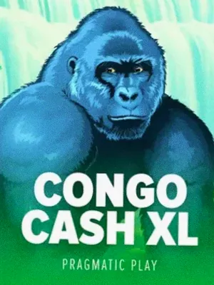 Congo Cash XL at Roospin